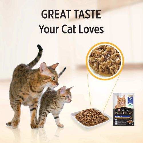 Purina ProPlan SENIOR CAT 7+
成貓7+配方(醬汁雞肉)