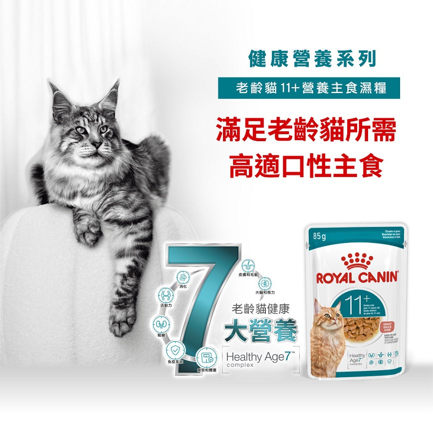 FHN CAT AGEING 11+ Chunks in gravy 老貓11+營養主食濕糧（肉汁）
