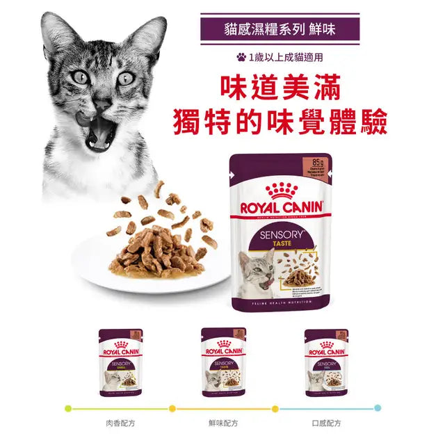 FHN CAT SENSORY TASTE - Sensory Taste Adult Cat (Gravy) 貓感系列 鮮味營養主食濕糧（肉汁）
