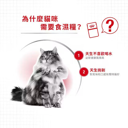 FHN Instinctive Cat (Gravy) 成貓理想體態營養主食濕糧（肉汁）