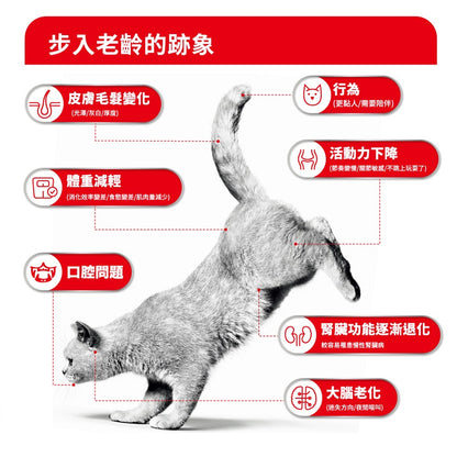 FHN CAT AGEING 11+ Chunks in gravy 老貓11+營養主食濕糧（肉汁）