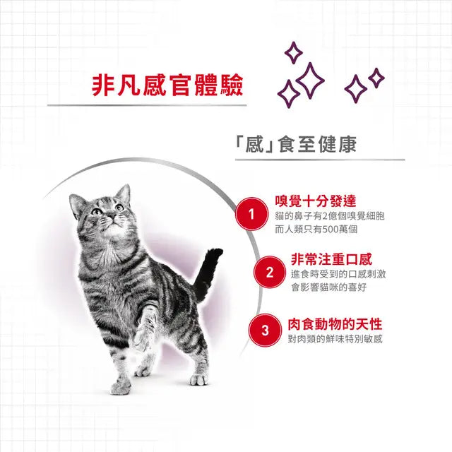 FHN CAT SENSORY TASTE - Sensory Taste Adult Cat (Gravy) 貓感系列 鮮味營養主食濕糧（肉汁）
