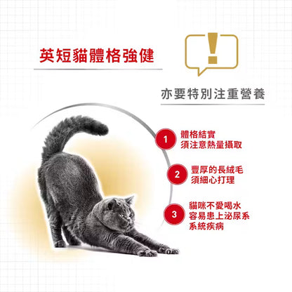 FBN British Shorthair Adult Cat (Gravy) 英國短毛成貓專屬主食濕糧（肉汁）