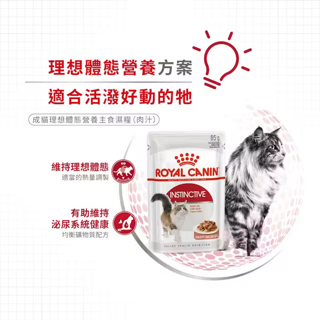 FHN Instinctive Cat (Gravy) 成貓理想體態營養主食濕糧（肉汁）