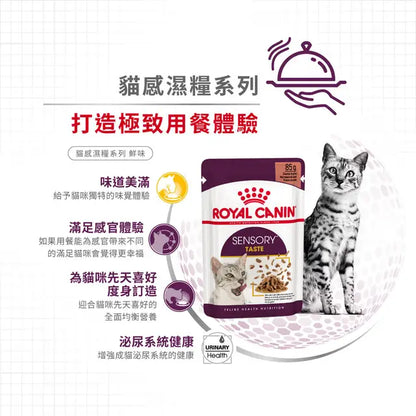 FHN CAT SENSORY TASTE - Sensory Taste Adult Cat (Gravy) 貓感系列 鮮味營養主食濕糧（肉汁）