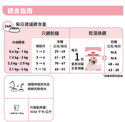 FHN Kitten (Jelly) 幼貓營養主食濕糧（啫喱）