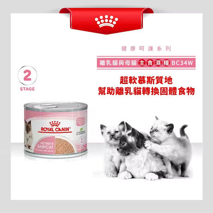 FHN Mother & Babycat Can 離乳貓及母貓營養主食罐頭