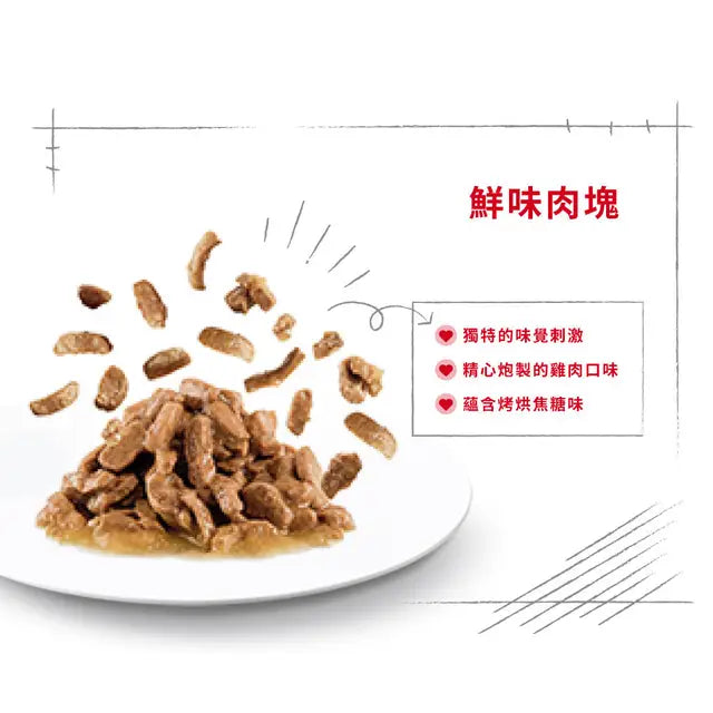 FHN CAT SENSORY TASTE - Sensory Taste Adult Cat (Gravy) 貓感系列 鮮味營養主食濕糧（肉汁）