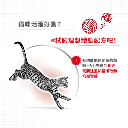 FHN CAT FIT 成貓全效健康營養配方