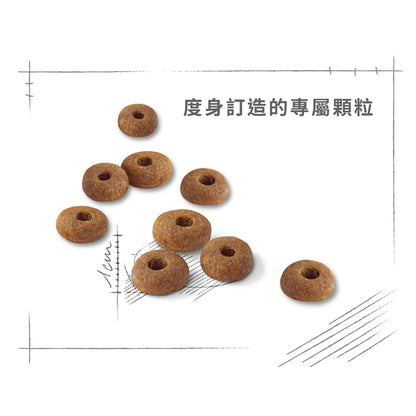 FHN CAT FIT 成貓全效健康營養配方