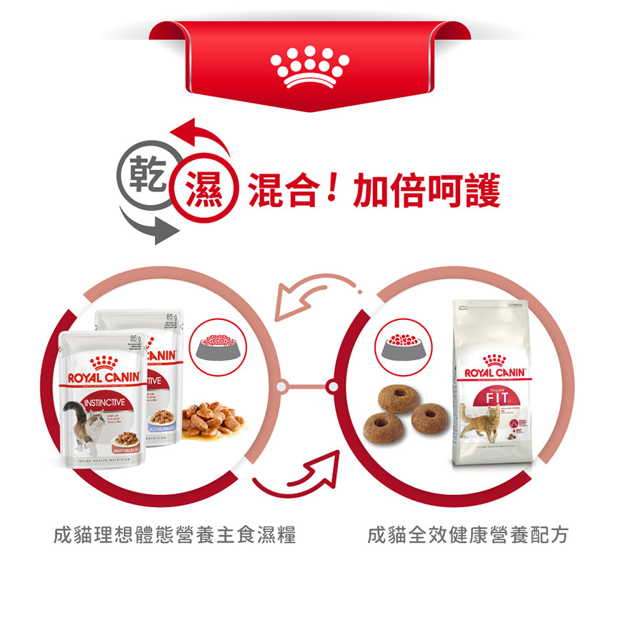 FHN CAT FIT 成貓全效健康營養配方
