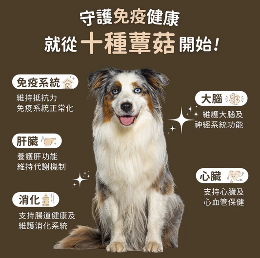 FERA USDA Organic Mushrooms Immune Support for Dogs & Cat USDA 有機認證 有機靈芝菇菌免疫力營養粉 (犬貓通用) 60G