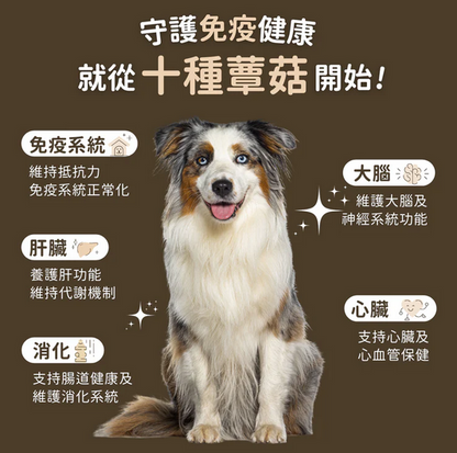 FERA USDA Organic Mushrooms Immune Support for Dogs & Cat USDA 有機認證 有機靈芝菇菌免疫力營養粉 (犬貓通用) 60G