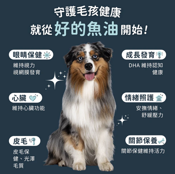 FERA Vegan Omega-3s Algae Oil for Dogs & Cats  
純素海藻油 Omega-3、6、9s  (犬貓通用)
8OZ