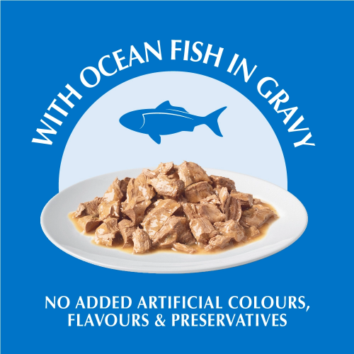 ONE Healthy Adult Wet (Ocean Fish)
貓濕糧成貓配方(海魚)