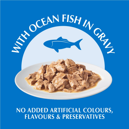ONE Healthy Adult Wet (Ocean Fish)
貓濕糧成貓配方(海魚)