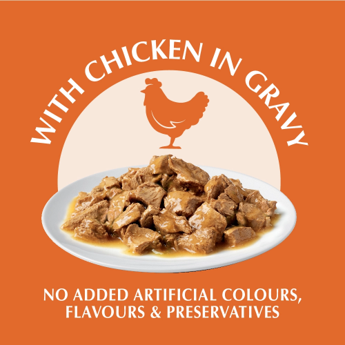 ONE Hairball Control Wet (Chicken)
貓濕糧成貓去毛球配方(雞肉)
