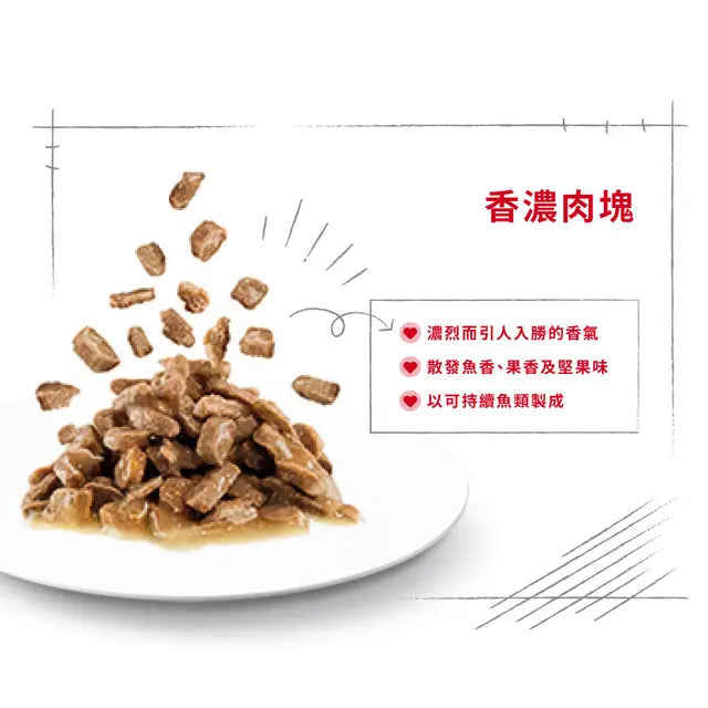 FHN CAT SENSORY SMELL - Sensory Smell Adult Cat (Gravy) 貓感系列 肉香營養主食濕糧（肉汁）