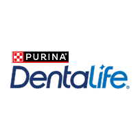 Dentalife
