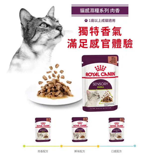 FHN CAT SENSORY SMELL - Sensory Smell Adult Cat (Gravy) 貓感系列 肉香營養主食濕糧（肉汁）