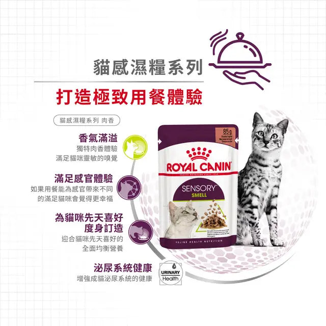 FHN CAT SENSORY SMELL - Sensory Smell Adult Cat (Gravy) 貓感系列 肉香營養主食濕糧（肉汁）
